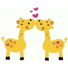 kissing giraffes