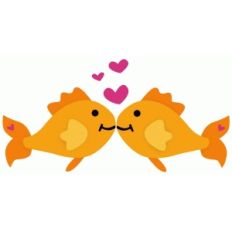 kissing goldfish
