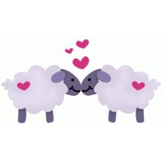 kissing sheep