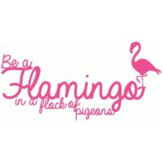 be a flamingo phrase / quote