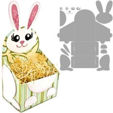basket bunny box