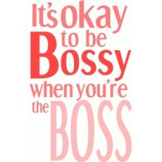 you're the boss