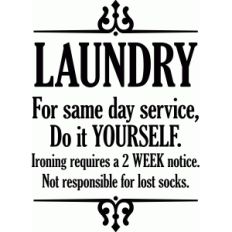 laundry same day service