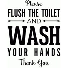 flush the toilet and wash your hands