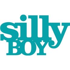 'silly boy' phrase