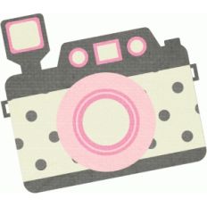 pink and grey camera