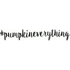 pumpkin everything