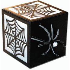 spider and web cube