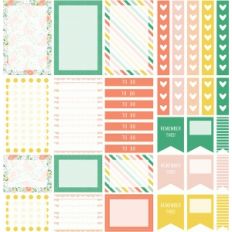planner stickers | charlotte collection