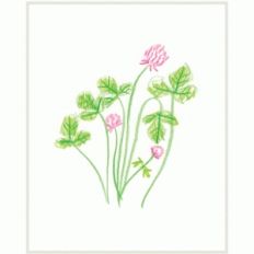 clover illustration print &amp; frame